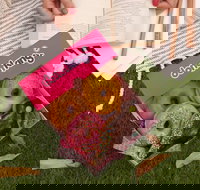 Donut King - Redcliffe - New South Wales Tourism 