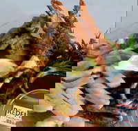 Redfish Fish Chips  Grill - New South Wales Tourism 