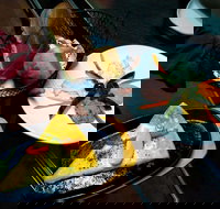 Paradise Of Lindos - New South Wales Tourism 