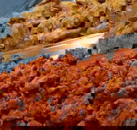 Spice Blast - New South Wales Tourism 