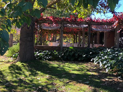 The Pressing Shed Cafe & Restaurant At Nullamunjie Olive Groves - New South Wales Tourism  1