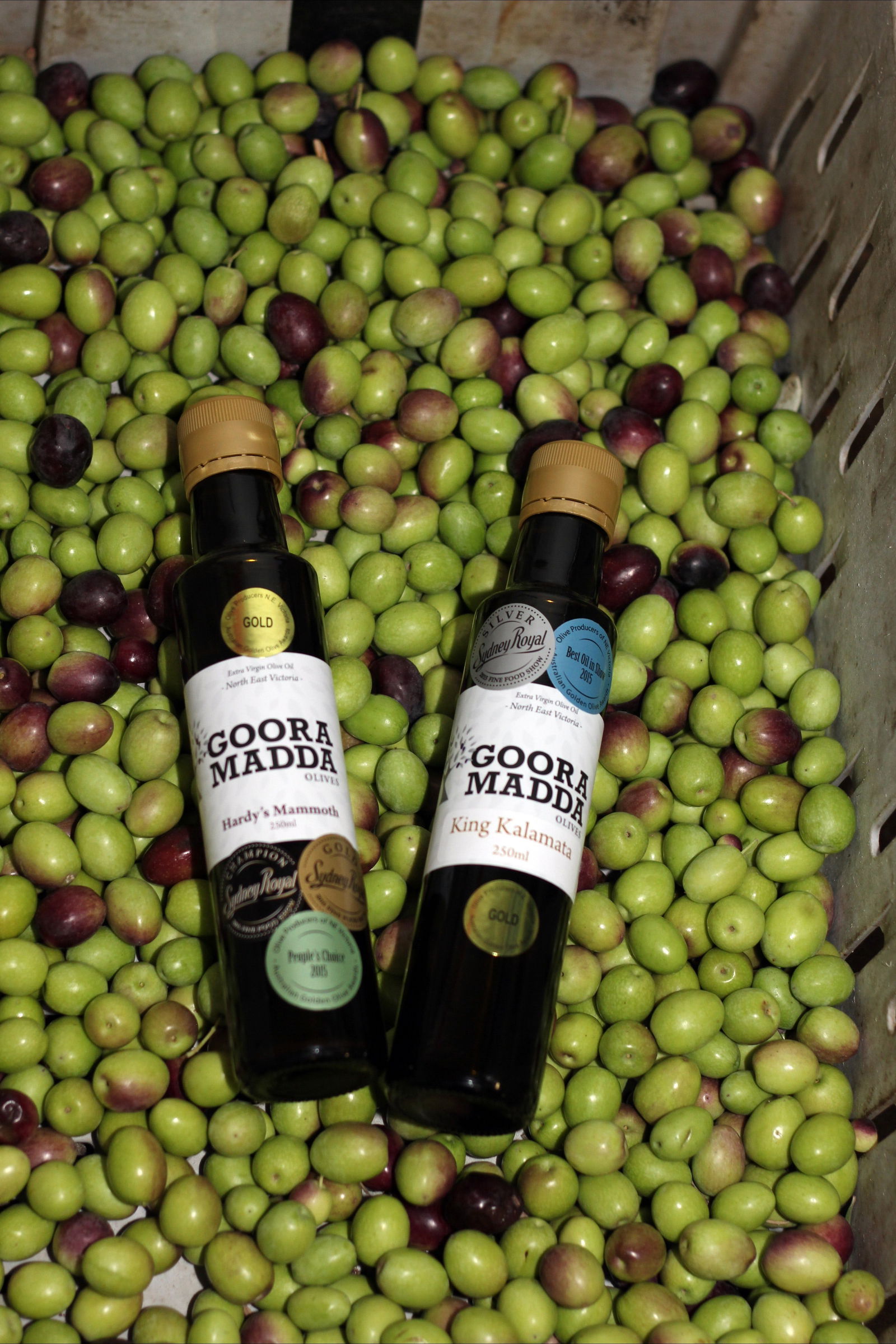 Gooramadda VIC New South Wales Tourism