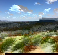 The Wine Collective - New South Wales Tourism 