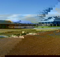 Thomson Brook Wines - New South Wales Tourism 