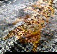 Brisbane Portuguese Family Centre - New South Wales Tourism 