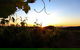 Glenbosch Wine Estate - thumb 0