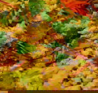 Caroline Thai Restaurant - New South Wales Tourism 