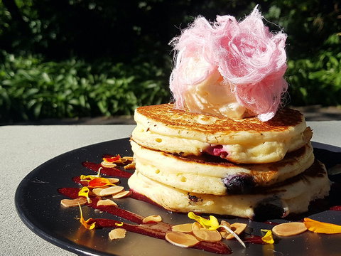 Darwin's - New South Wales Tourism  0