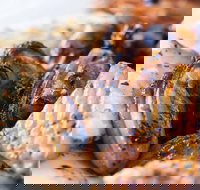 Gus's Seafood - New South Wales Tourism 