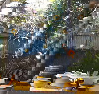 Sheoak Shack - New South Wales Tourism 