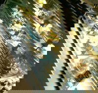 Gelateria Millefiori - New South Wales Tourism 