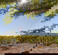 Hayes Family Wines - New South Wales Tourism 