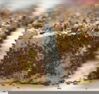 Kafenio - New South Wales Tourism 