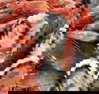 Mi Shells Seafood - New South Wales Tourism 
