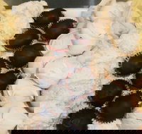 Uber Caf - New South Wales Tourism 