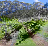 Woongooroo Estate Winery