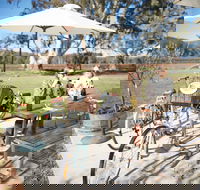 Dal Zotto Wines Cellar Door - New South Wales Tourism 