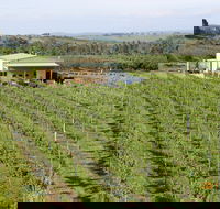Dindima Wines - New South Wales Tourism 