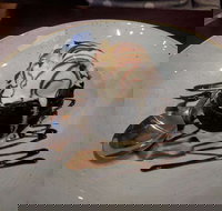 Front Bar - Greengate Hotel - New South Wales Tourism 