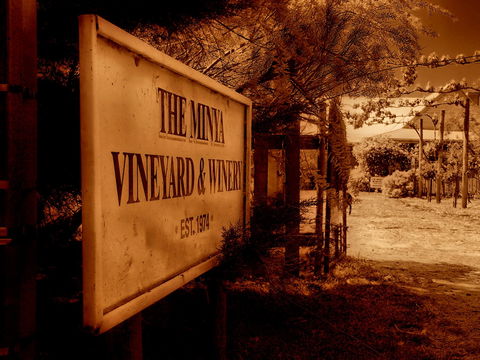 The Minya Vineyard & Winery - New South Wales Tourism  2