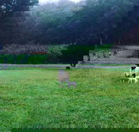 Goat Hill Farm - New South Wales Tourism 