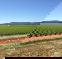 Melange Wines - New South Wales Tourism 
