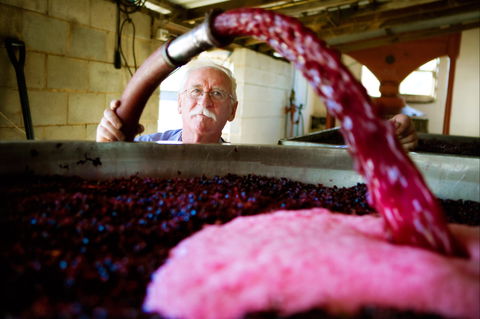 Helm Wines - New South Wales Tourism  2