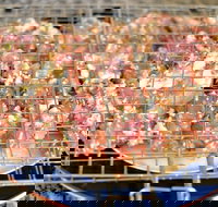  - New South Wales Tourism 