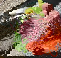 Cafe Rhubaba - New South Wales Tourism 