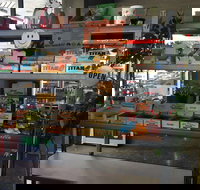 Intra Coffee - New South Wales Tourism 