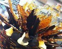 Daily Dose Cafe Wine Bar - New South Wales Tourism  0