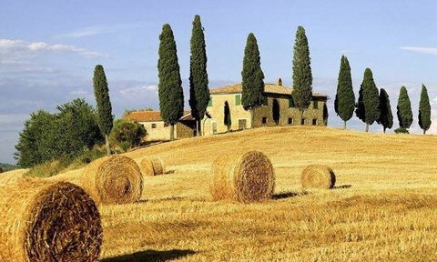 Rambutan - New South Wales Tourism  16