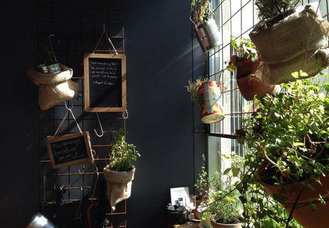 Tree Eighty3 - New South Wales Tourism  2