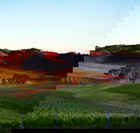 Dalwhinnie Wines - New South Wales Tourism 