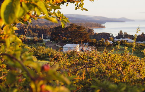 The Woodbridge Smokehouse - New South Wales Tourism  0