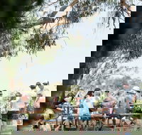 St Leonards Vineyard Caf - New South Wales Tourism 