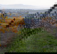 Barwon Ridge Wines