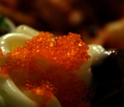 Kobe Teppanyaki - New South Wales Tourism  0