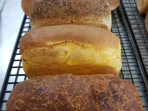 Plantation Organic Bakery - New South Wales Tourism  0