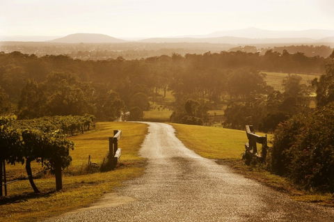 Petersons Wines - New South Wales Tourism  0