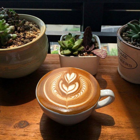 V Espresso - New South Wales Tourism  0