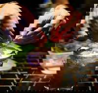 Bacchus Thai Restaurant - New South Wales Tourism 