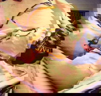 Scoops Gelatiland - New South Wales Tourism 