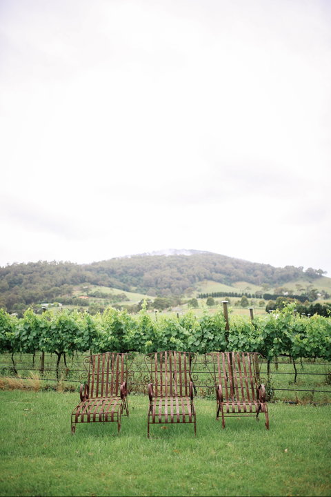Two Figs Winery - New South Wales Tourism  2