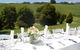 Leaning Church Vineyard - thumb 2