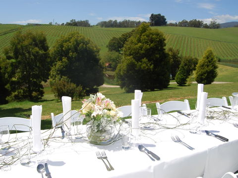 Leaning Church Vineyard - New South Wales Tourism  2