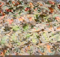 Maffra's Cafe - New South Wales Tourism 