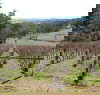 Habitat Vineyard - New South Wales Tourism 
