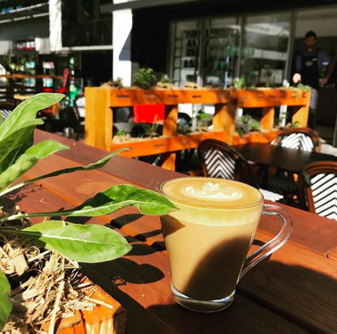 Apothecafe - New South Wales Tourism  0