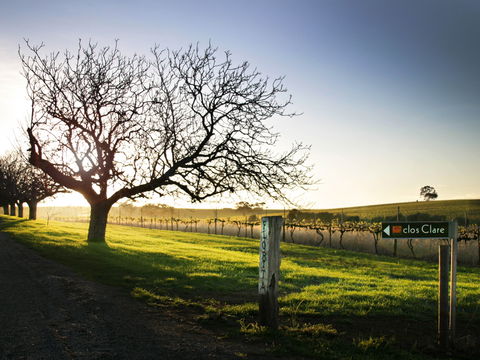 Clos Clare - New South Wales Tourism  2